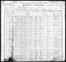1900 Census Sylvester Dunagan